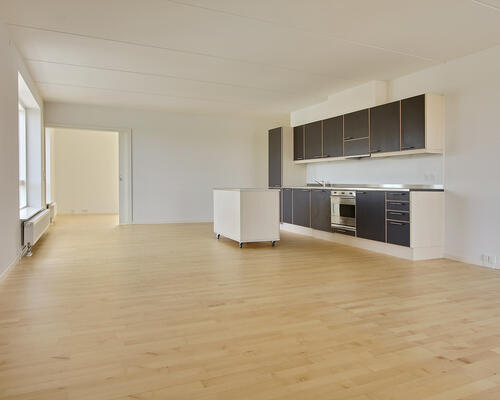 3 værelses lejlighed i København S