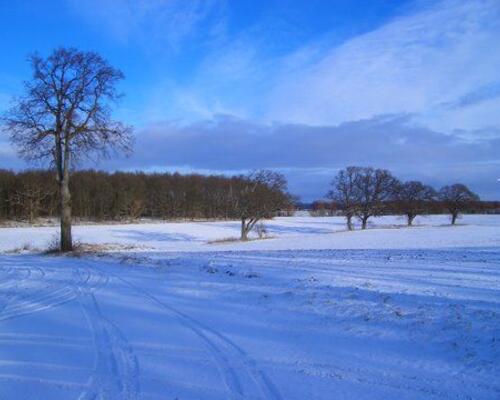 Markant bolig nær Vejlø Strand, med mulighed for stald og ridebane