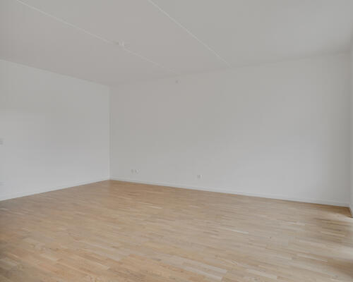 Lys 3-værelses lejlighed