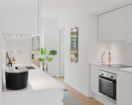 Skøn 4-værelses lejlighed i Høiriisparken