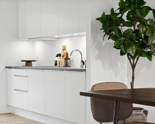 Velindrettet rækkehus i grønne omgivelser ved Kildebjerg, Ry