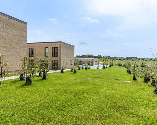 Velindrettet rækkehus i grønne omgivelser ved Kildebjerg, Ry