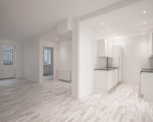 Lækker lys lejlighed i Aalborg centrum - husdyr tilladt.