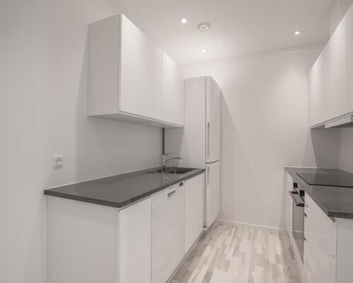 Lækker lys lejlighed i Aalborg centrum - husdyr tilladt.