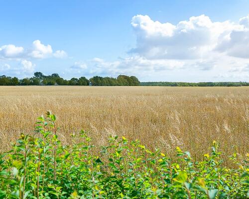 2 værelses lejlighed i Allingåbro