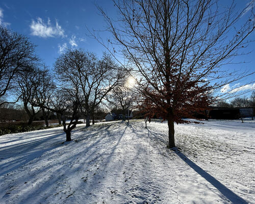 5 værelses hus i Farum