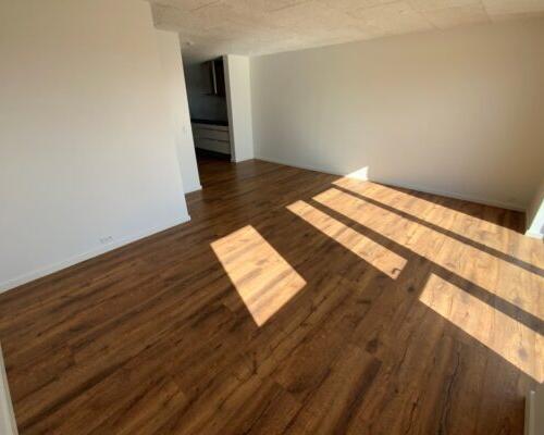 4 værelses hus i Kolding