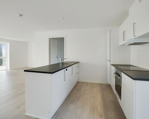 3 værelses hus i Vejle