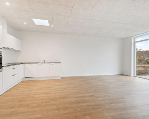 4 værelses hus i Borup