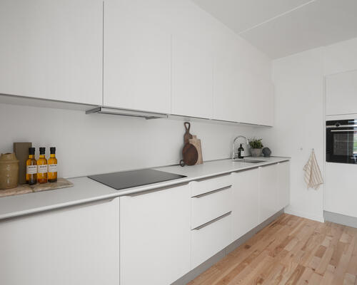 Moderne boliger i smukke omgivelser