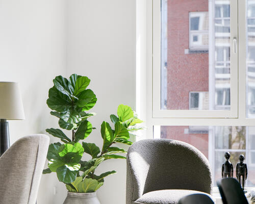 Bo til leje i den fede del af Østerbro