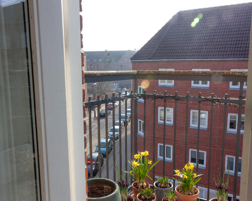 1 værelses lejlighed i København N