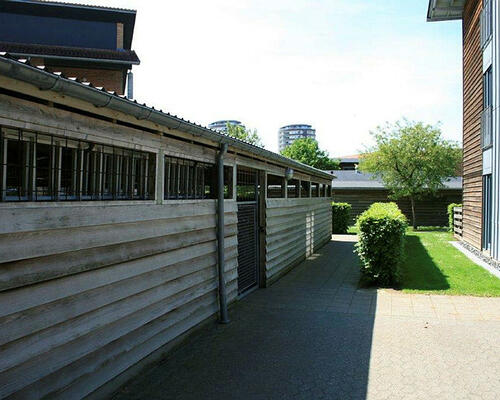 3 værelses lejlighed i Herning