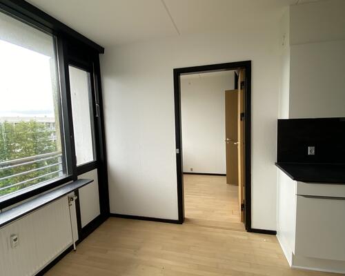 Rummelig 4. værelses lejlighed med 2 toiletter