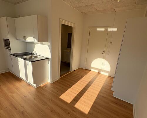 Charmerende nyopført 1. værelses lejlighed i Kolding gågade