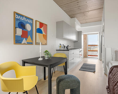 1-værelses med direkte udgang til hyggeligt gårdrum