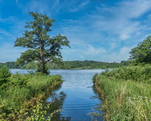3-værelses rækkehus i Kolding!