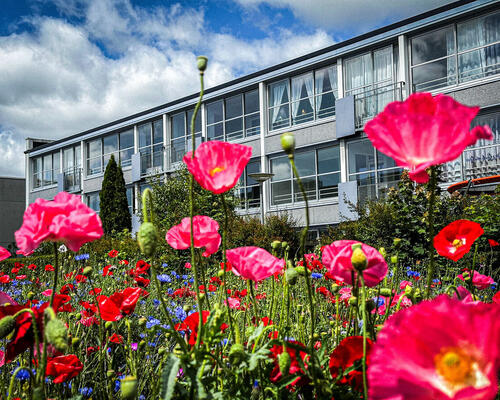 3 værelses lejlighed i Viborg