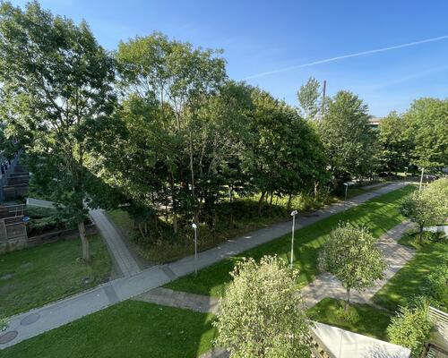 Stor rummelig delevenlig lejlighed