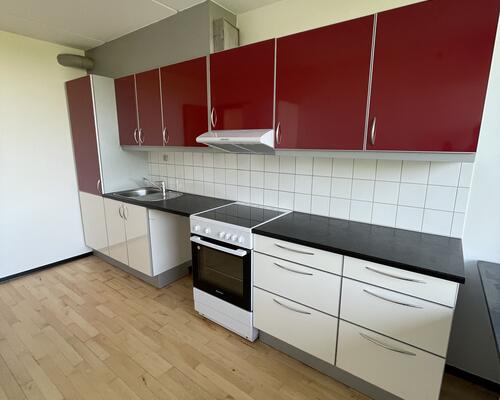 Stor rummelig delevenlig lejlighed