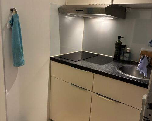 Fin 1. værelses lejlighed