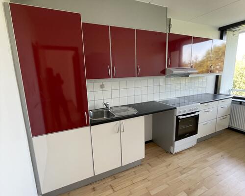 Stor rummelig delevenlig lejlighed