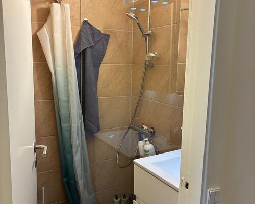 Fin 1. værelses lejlighed