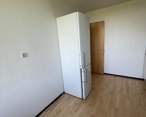 Stor rummelig delevenlig lejlighed