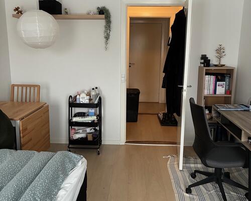 Fin 1. værelses lejlighed