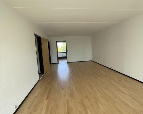 Stor rummelig delevenlig lejlighed