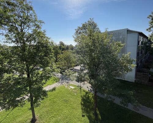 Stor rummelig delevenlig lejlighed