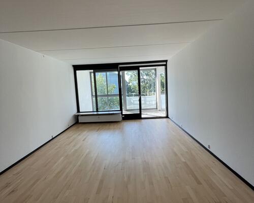 Stor rummelig delevenlig lejlighed