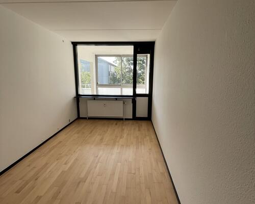 Stor rummelig delevenlig lejlighed