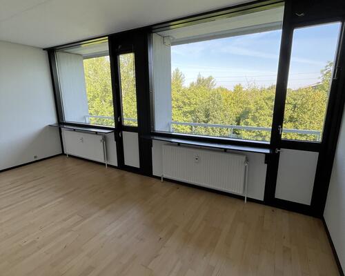 Stor rummelig delevenlig lejlighed