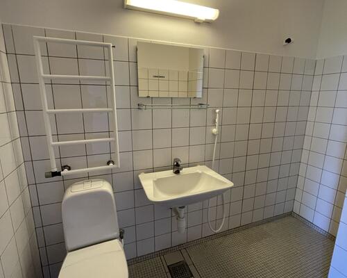 Stor rummelig delevenlig lejlighed