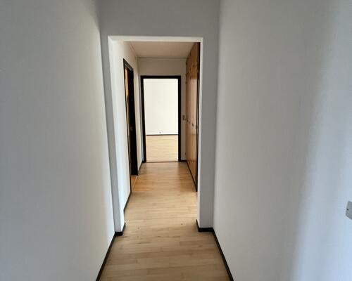 Stor rummelig delevenlig lejlighed