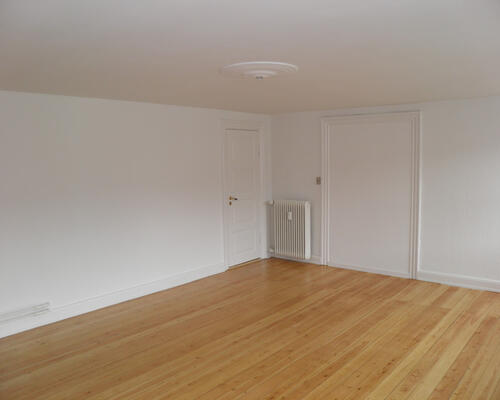 Rummelig 3-værelses lejlighed i centrum af Viborg