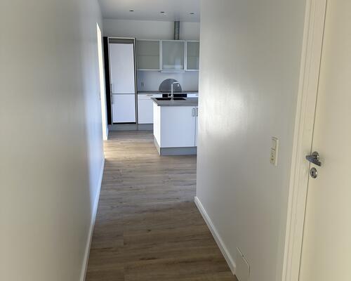 Stor flot lejlighed i centrum