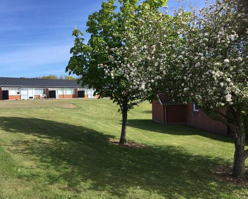 3 værelses hus i Spøttrup