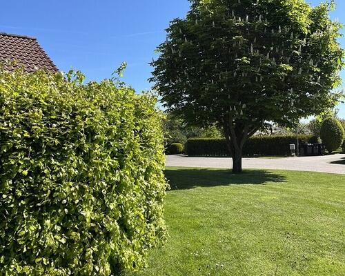 3 værelses hus i Spøttrup