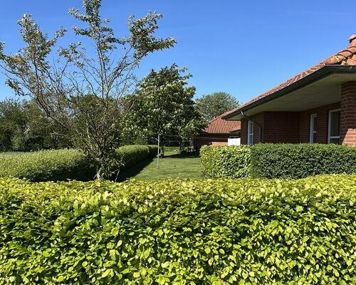 3 værelses hus i Spøttrup