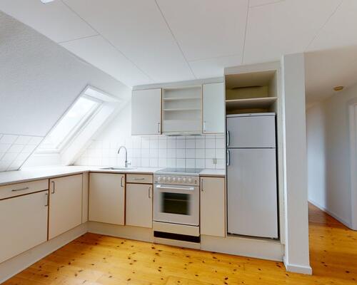 Indbydende lejlighed i hjertet af Aalborg med nærhed til natur