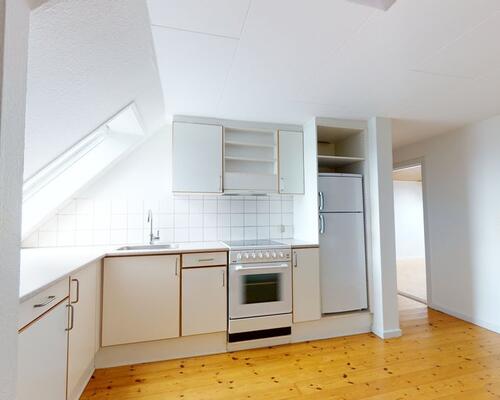 Indbydende lejlighed i hjertet af Aalborg med nærhed til natur