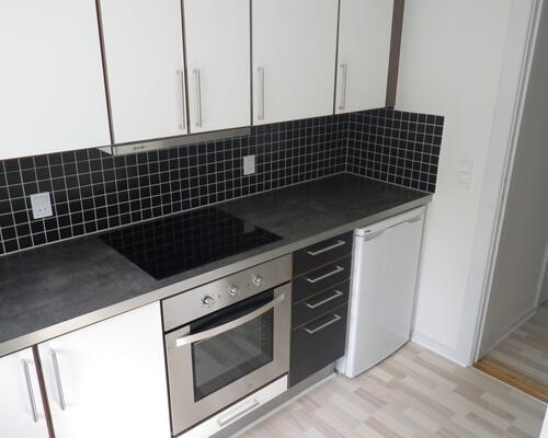 Indbydende lejlighed i Øgadekvarteret tæt på natur