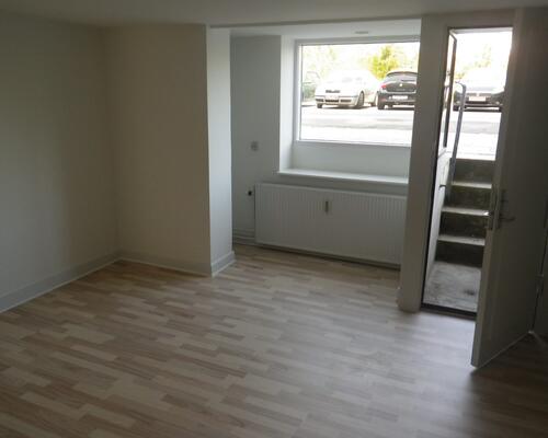 Indbydende lejlighed i Øgadekvarteret tæt på natur