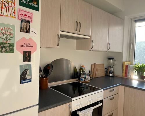 Hyggelig 2-værelses lejlighed i Aalborgs hjerte