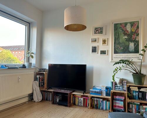 Hyggelig 2-værelses lejlighed i Aalborgs hjerte