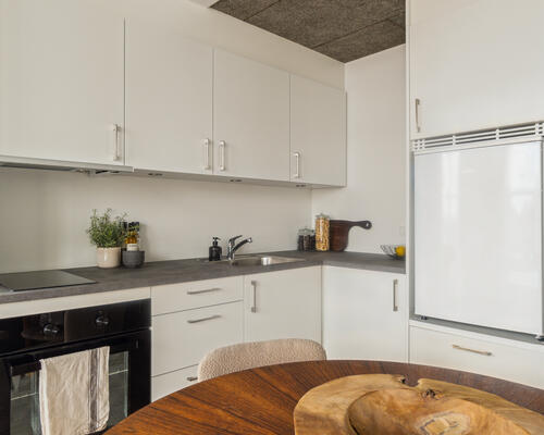 Moderne bolig i gamle rammer