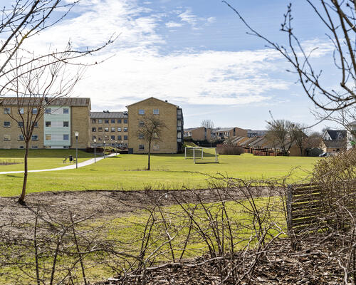 🌟 Attraktive 3-værelses lejeboliger på Peter Freuchens Vej 🌟