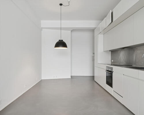 1 værelses lejlighed i København S